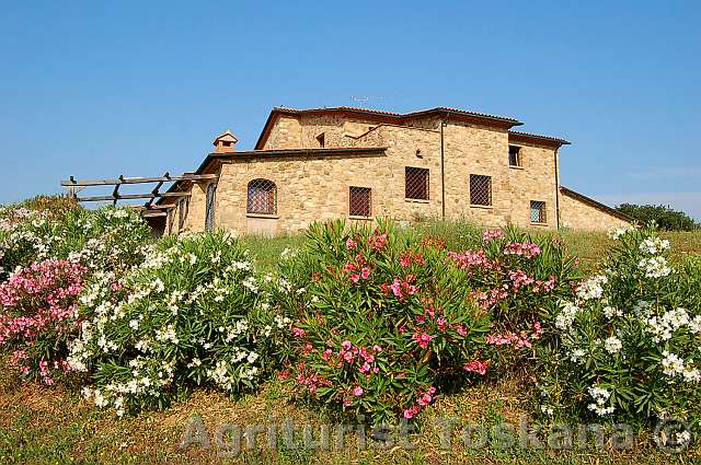 podere 026